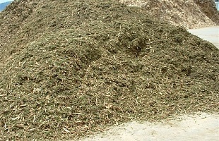 Biomasse Waldhackgut