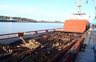 Holztransport Schiff