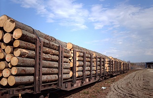 Holzverladung Bahn