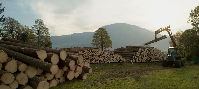 Harvestereinsatz Südtirol