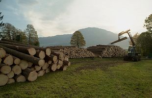 Harvestereinsatz Südtirol